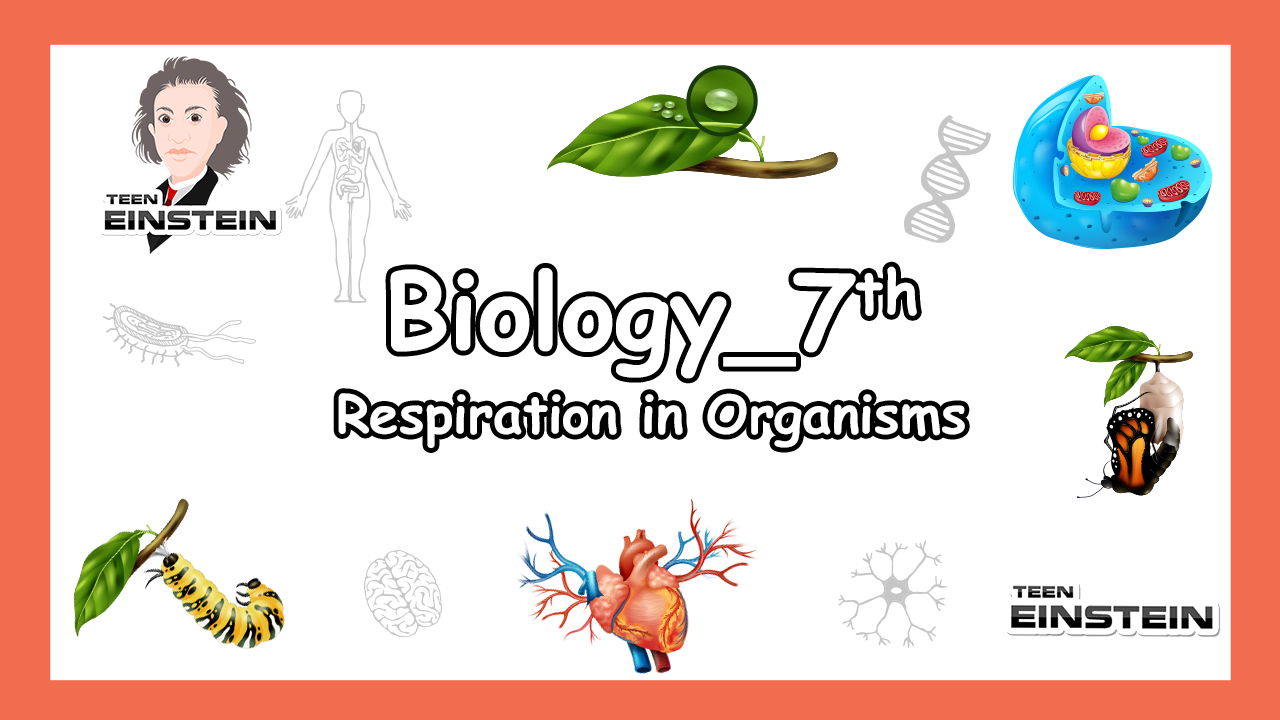 Respiration in Organisms  Seventh Grade | Biology | Respiration in Organisms | Introduction, Why do we Respire?
